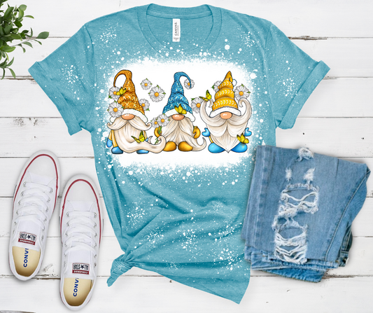 Gnomes and daisies